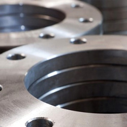 SS 304 Flanges
