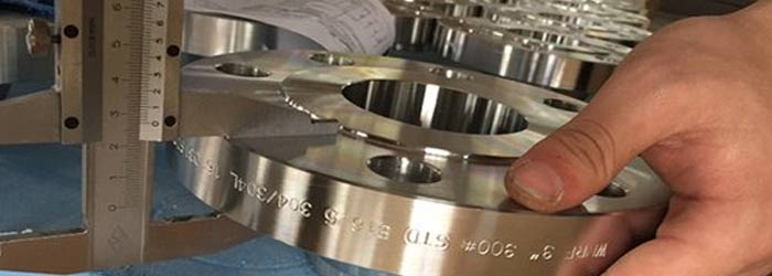 stainless steel flanges manufacturers in india
